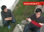 double-werny