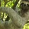 costa-rica-travel-01